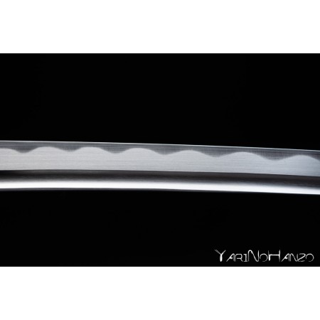 Set Completo de Iaido Yarinohanzo – Iaido Gi, Hakama, Bokken y Iaito