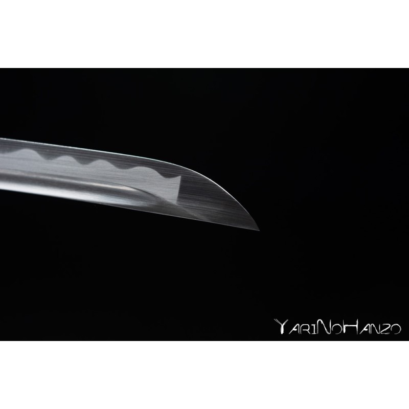 Set Completo de Iaido Yarinohanzo – Iaido Gi, Hakama, Bokken y Iaito