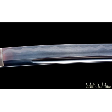 Set Completo de Iaido Yarinohanzo – Iaido Gi, Hakama, Bokken y Jidai Koshirae Iaito