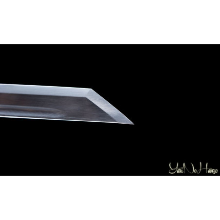 Koga Ninja To AF.
