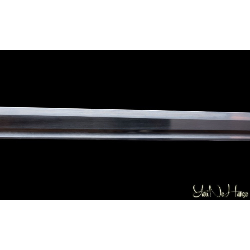 Koga Ninja To AF.