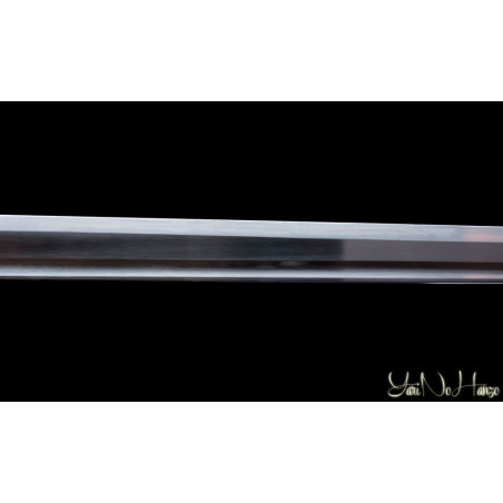 Koga Ninja To AF.