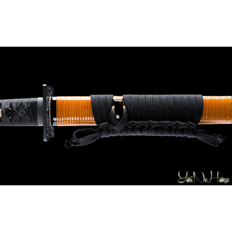 Koga Ninja To AF.