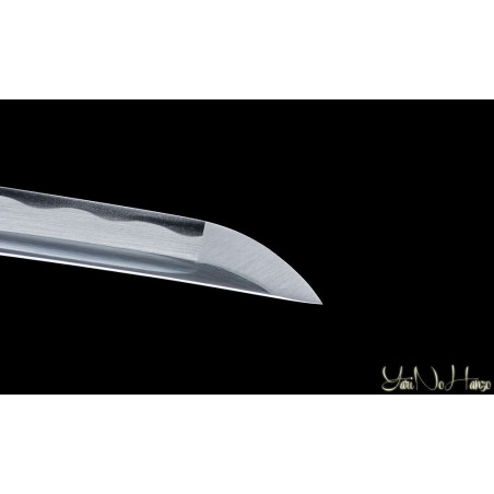 Niiro Katana AF.