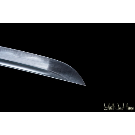 Musha Katana AF.