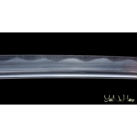 Musha Katana AF.