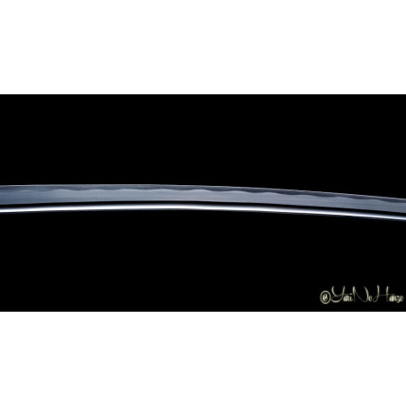 Murakami Katana AF.