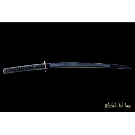 NEW Togakure Shinobigatana AF.