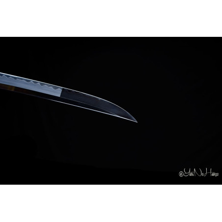 NEW Togakure Shinobigatana AF.