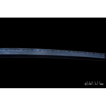 NEW Togakure Shinobigatana