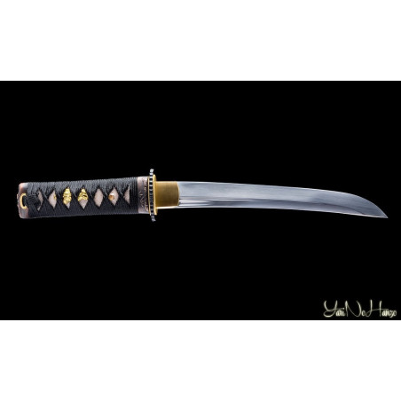 Kunishi Tanto