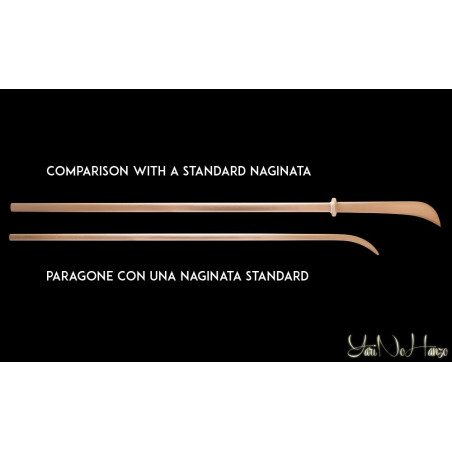 BISEN TO HAYA ARTESANAL