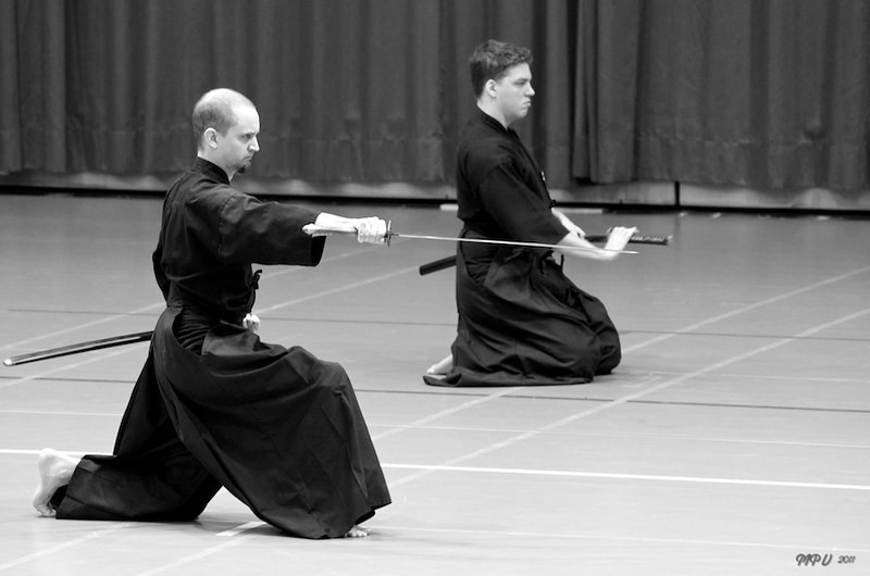 Las diferencias entre iaido y kendo