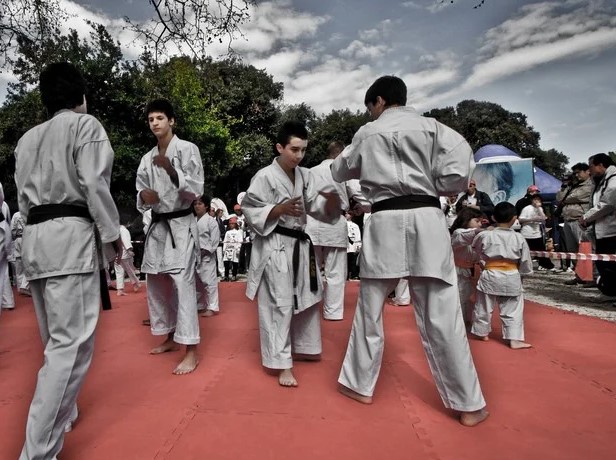 Escuelas de Kárate. Parte II