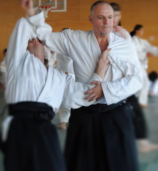 Aikido: técnicas de entrenamiento